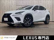 2018 LEXUS NX