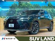 2024 LEXUS NX