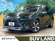 2018 LEXUS NX