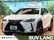 2019 LEXUS UX
