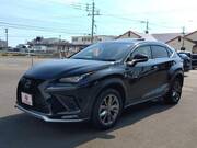 2018 LEXUS NX