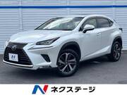 2018 LEXUS NX