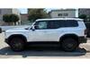 TOYOTA LANDCRUISER 250