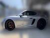 PORSCHE OTHER