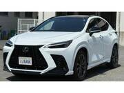 2024 LEXUS NX