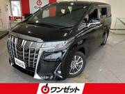 2019 TOYOTA ALPHARD