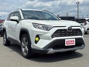 2019 TOYOTA RAV4 G