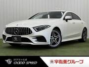 2019 MERCEDES BENZ CLS-CLASS