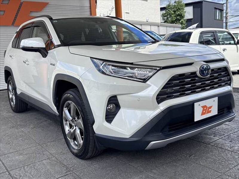 2019 TOYOTA RAV4 for sale - photo 10
