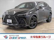 2022 LEXUS NX