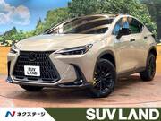 2024 LEXUS NX