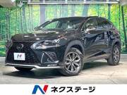 2019 LEXUS NX