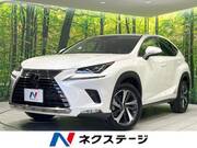 2020 LEXUS NX