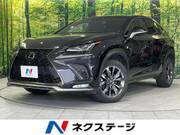 2018 LEXUS NX