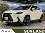 2024 LEXUS NX