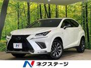 2020 LEXUS NX
