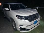 2019 TOYOTA LAND CRUISER PRADO TX