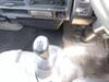 ISUZU OTHER