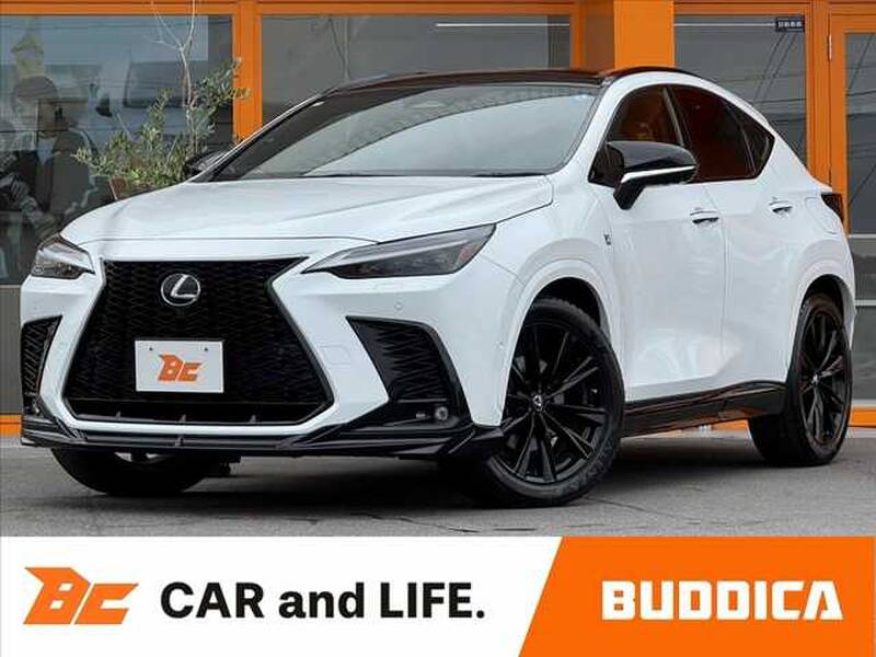 2023 LEXUS NX for sale