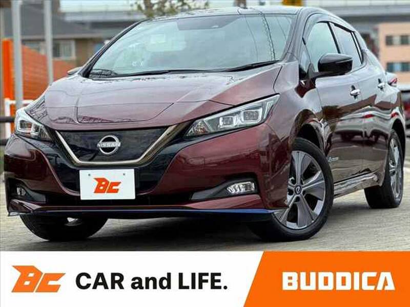 2021 NISSAN LEAF for sale