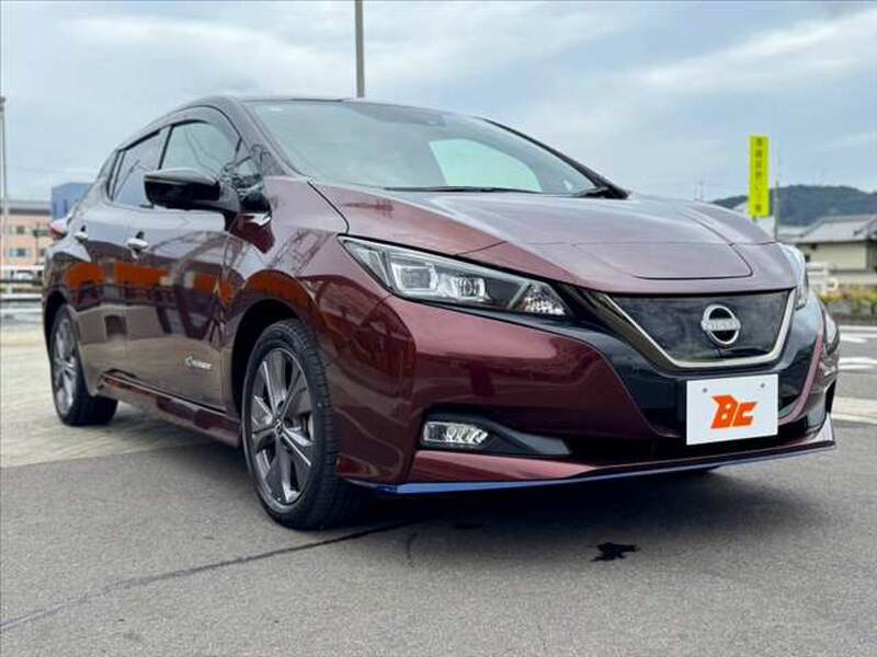 2021 NISSAN LEAF for sale - photo 9