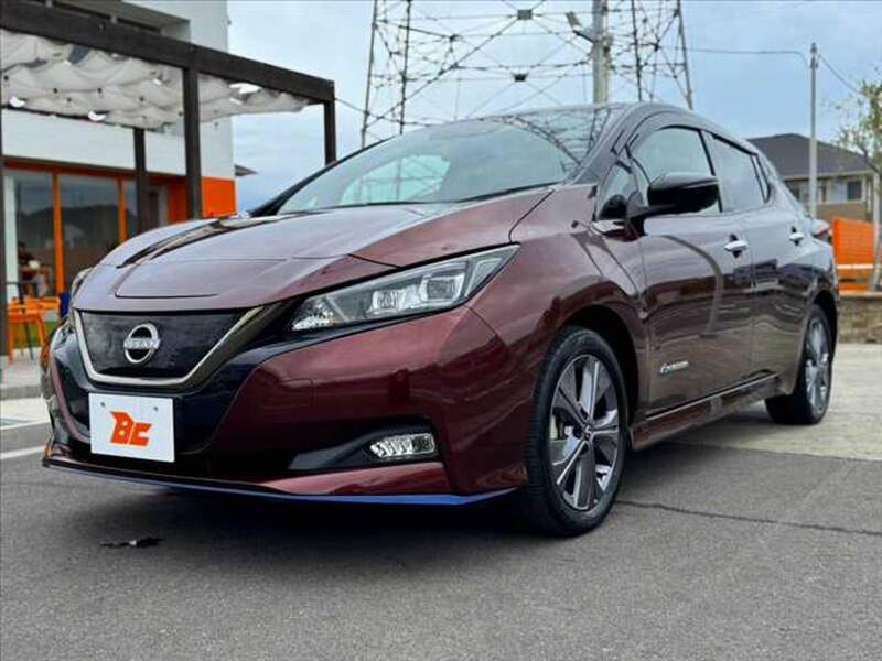 2021 NISSAN LEAF for sale - photo 11