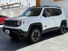 CHRYSLER JEEP RENEGADE
