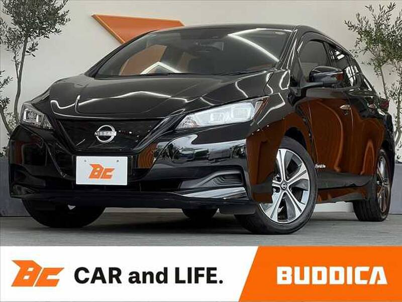 2021 NISSAN LEAF for sale