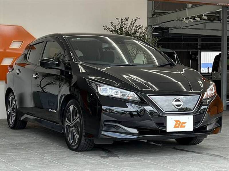 2021 NISSAN LEAF for sale - photo 9