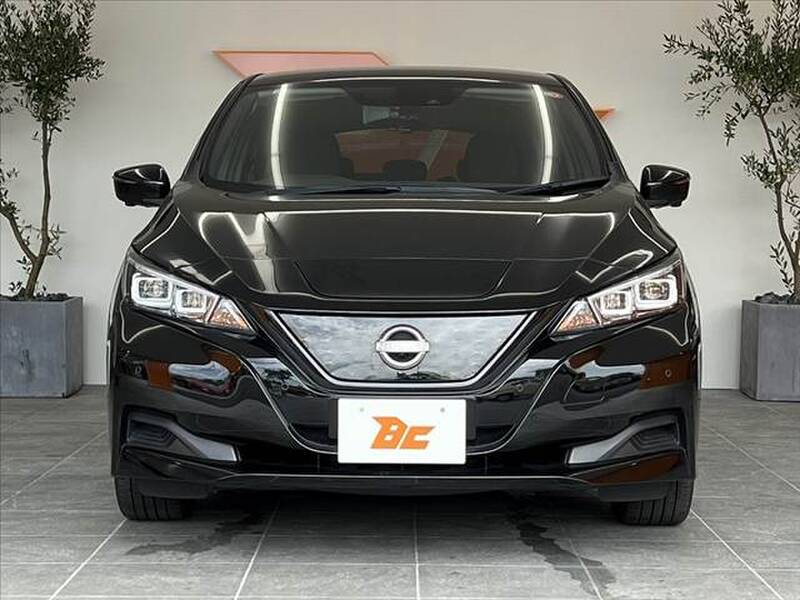 2021 NISSAN LEAF for sale - photo 10