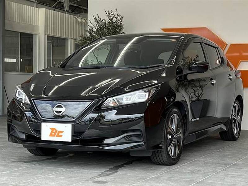 2021 NISSAN LEAF for sale - photo 11