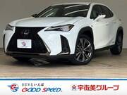 2019 LEXUS UX