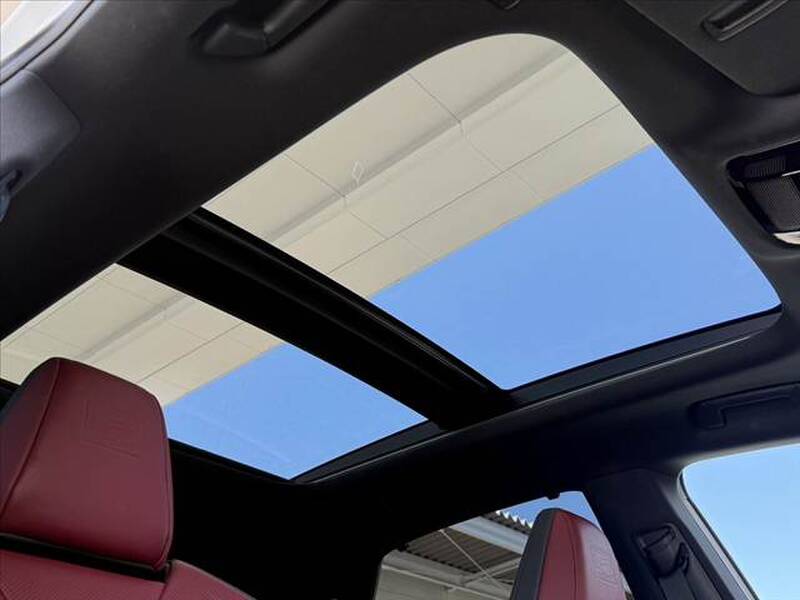 2025 LEXUS RX for sale - photo 4