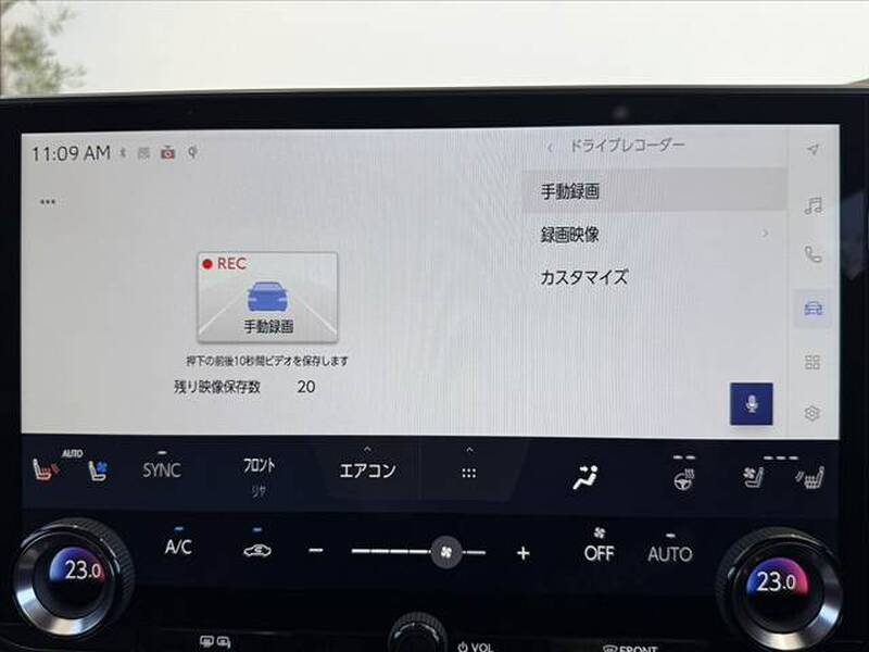 2025 LEXUS RX for sale - photo 6