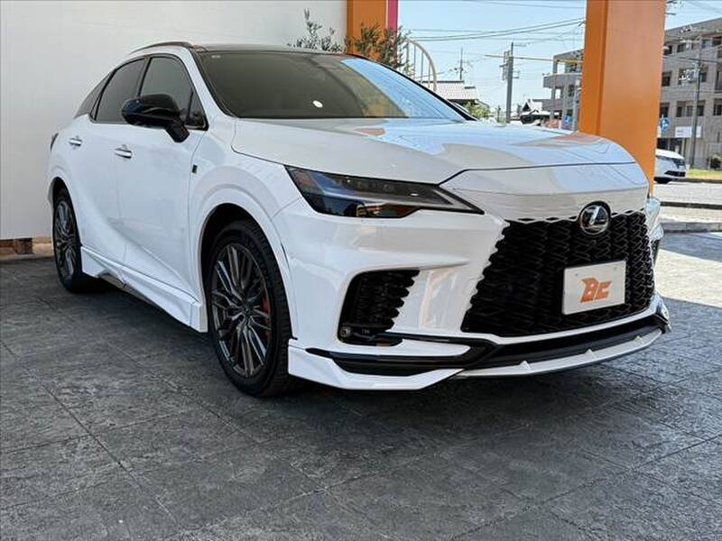 2025 LEXUS RX for sale - photo 9