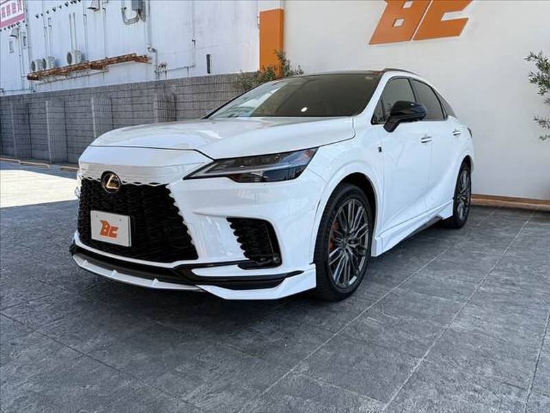 2025 LEXUS RX for sale - photo 11