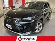 2015 LEXUS NX