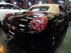 TOYOTA OTHER