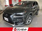 2018 LEXUS NX