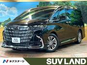 2024 TOYOTA ALPHARD