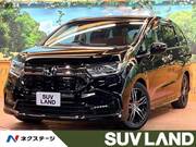 2021 HONDA OTHER
