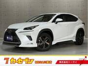 2018 LEXUS NX