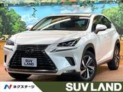 2018 LEXUS NX