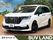2024 HONDA OTHER