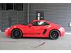 PORSCHE OTHER