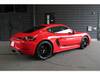 PORSCHE OTHER