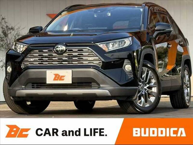 2019 TOYOTA RAV4 for sale