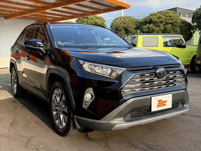 2019 TOYOTA RAV4 for sale - photo 9