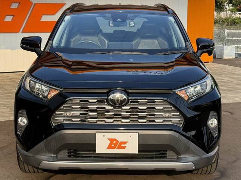 2019 TOYOTA RAV4 for sale - photo 10