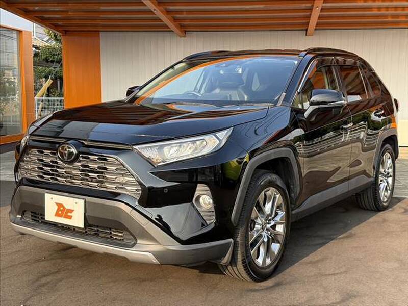 2019 TOYOTA RAV4 for sale - photo 11